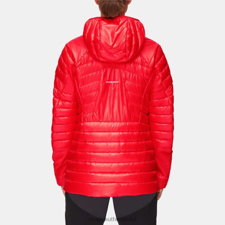Mammut žene odjeća eigerjoch je napredovao u jakni s kapuljačom Z08N715 azaleja